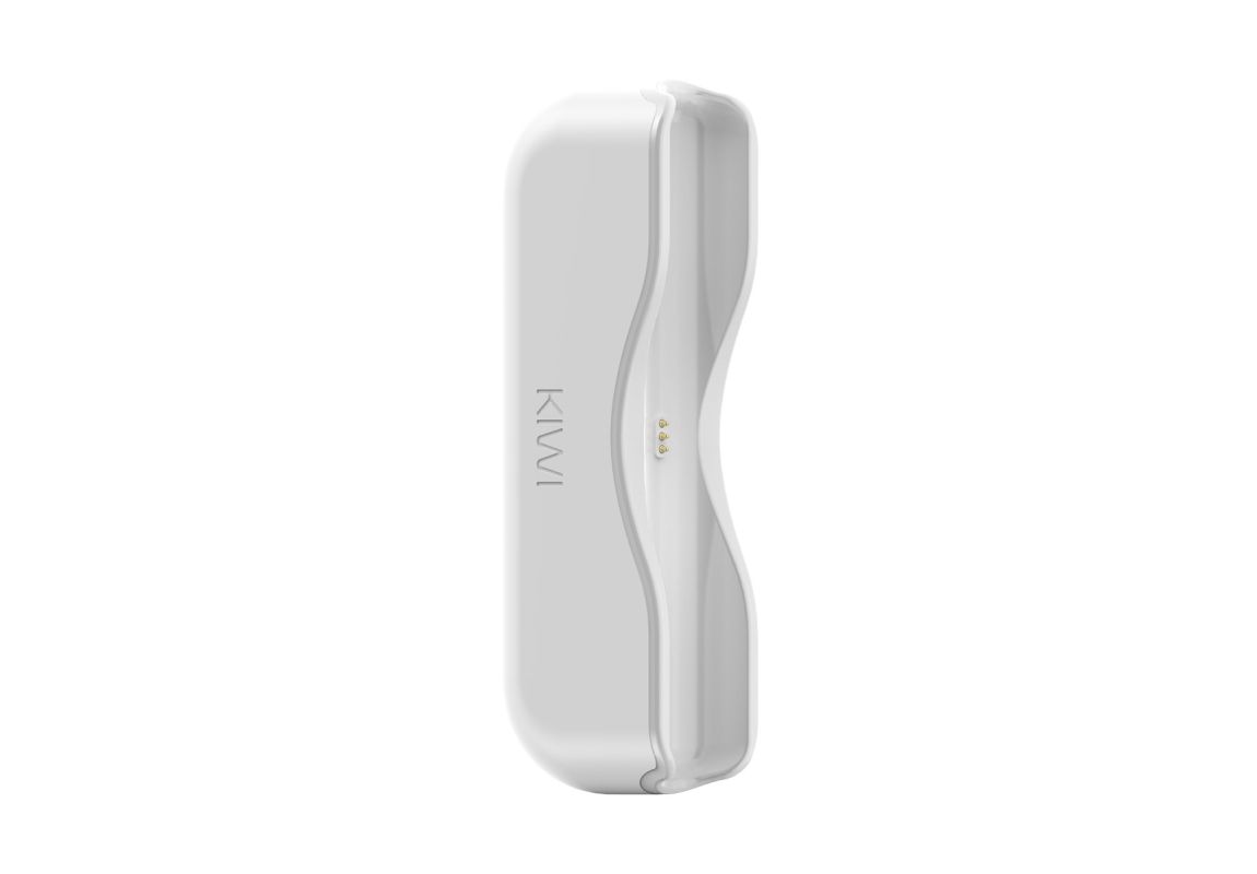 Kiwi - powerbank